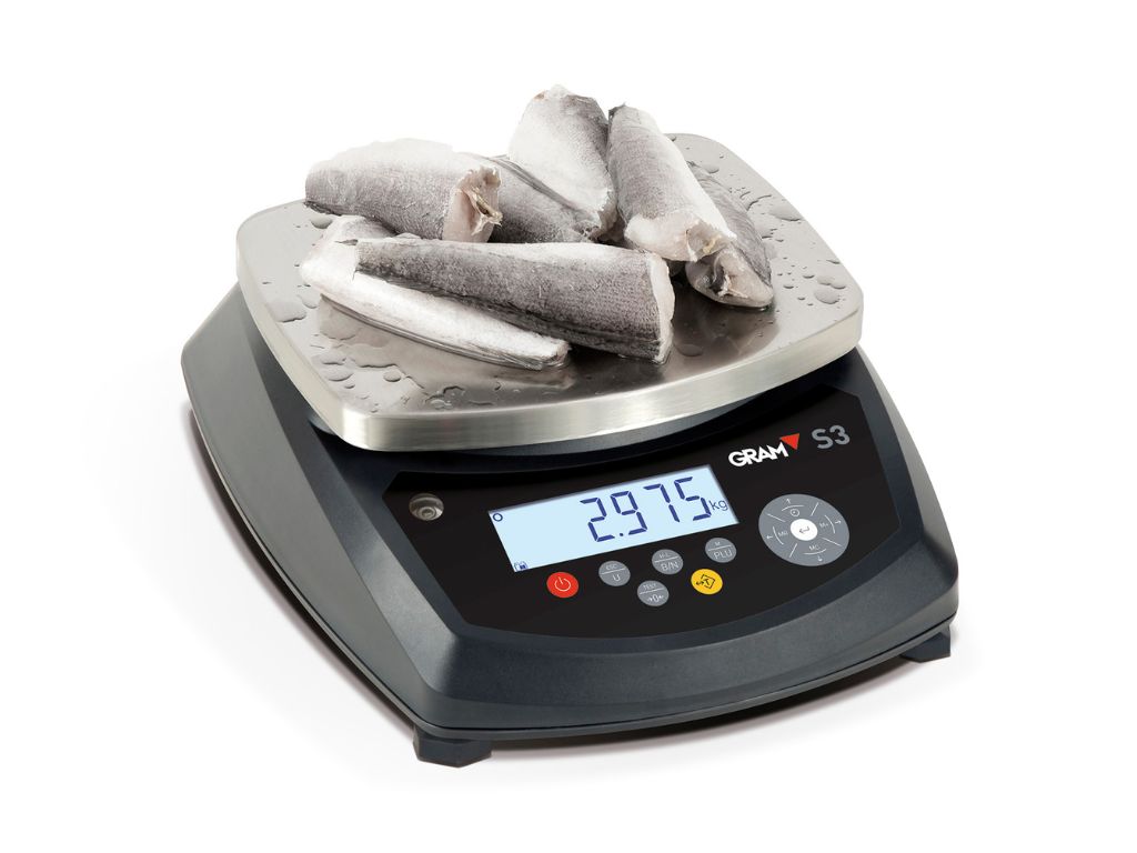 Portable Scale