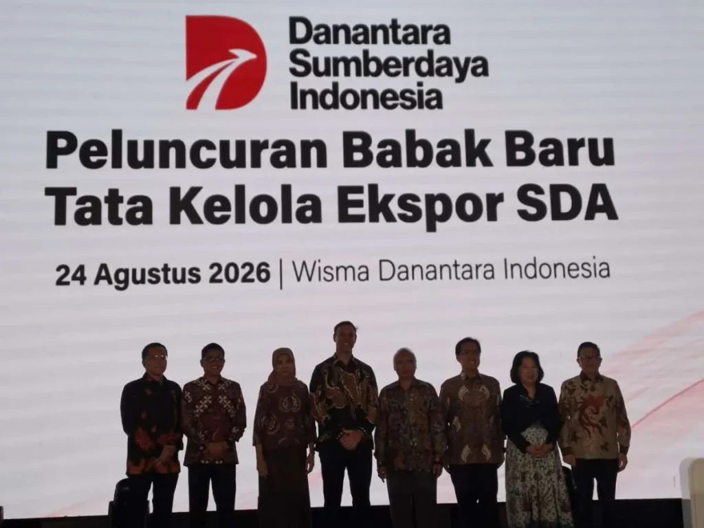 dsi danantara