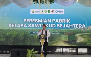 Timbangan sawit dan jembatan timbang untuk pabrik CPO