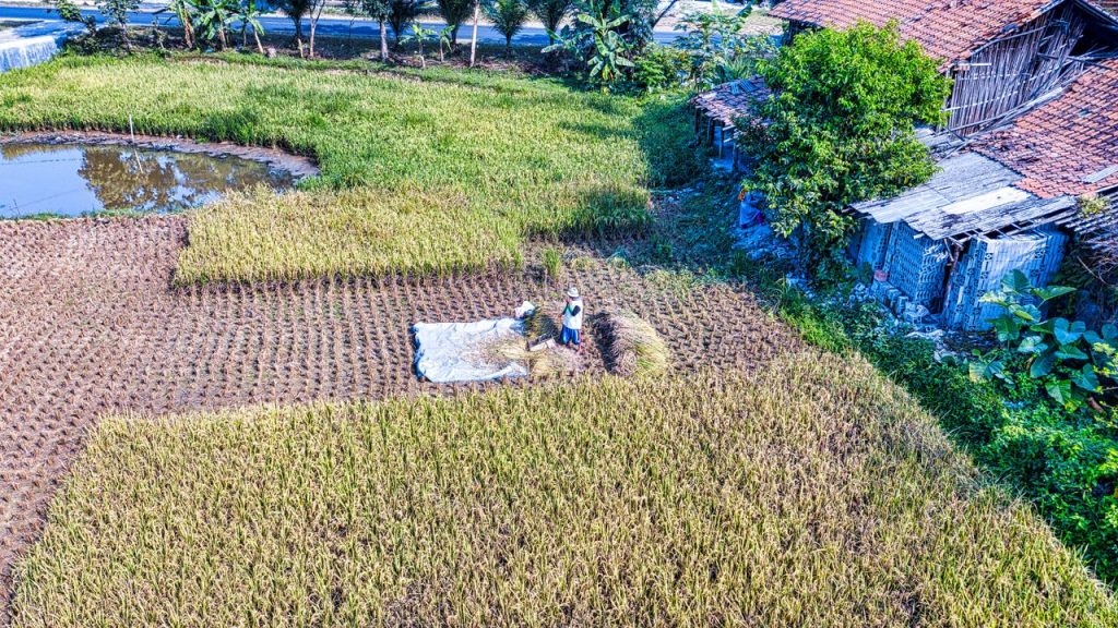 industri pengolahan porang Madiun