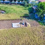 industri pengolahan porang Madiun