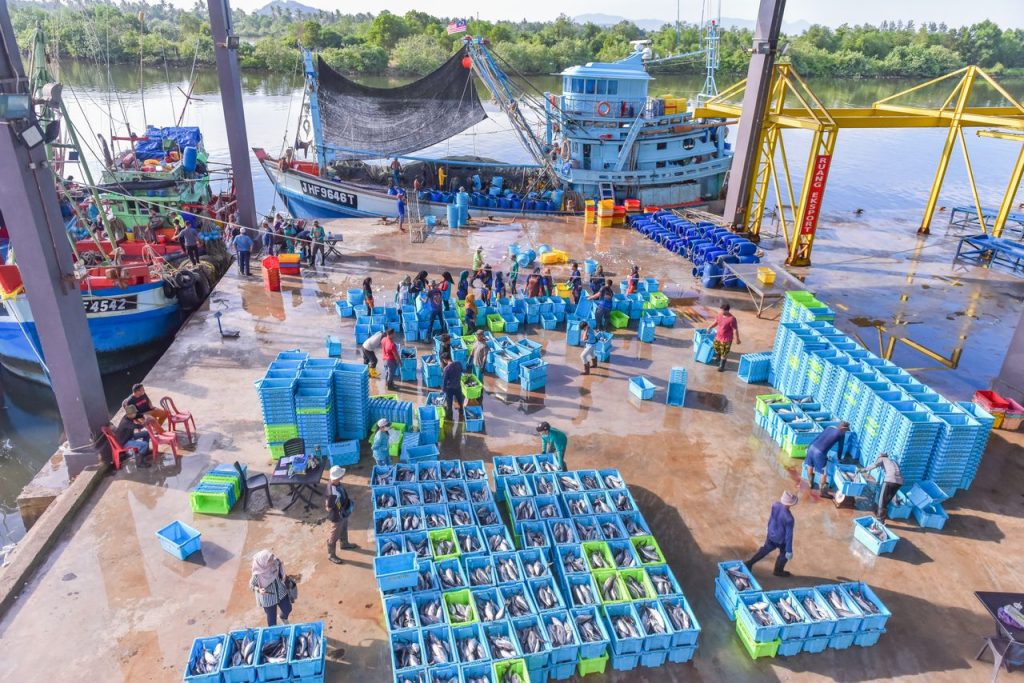 Operator memeriksa berat produk dalam wadah menggunakan timbangan udang beku