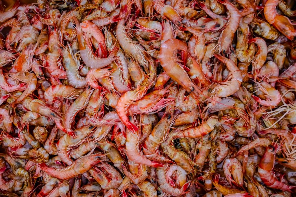 inspeksi produk udang